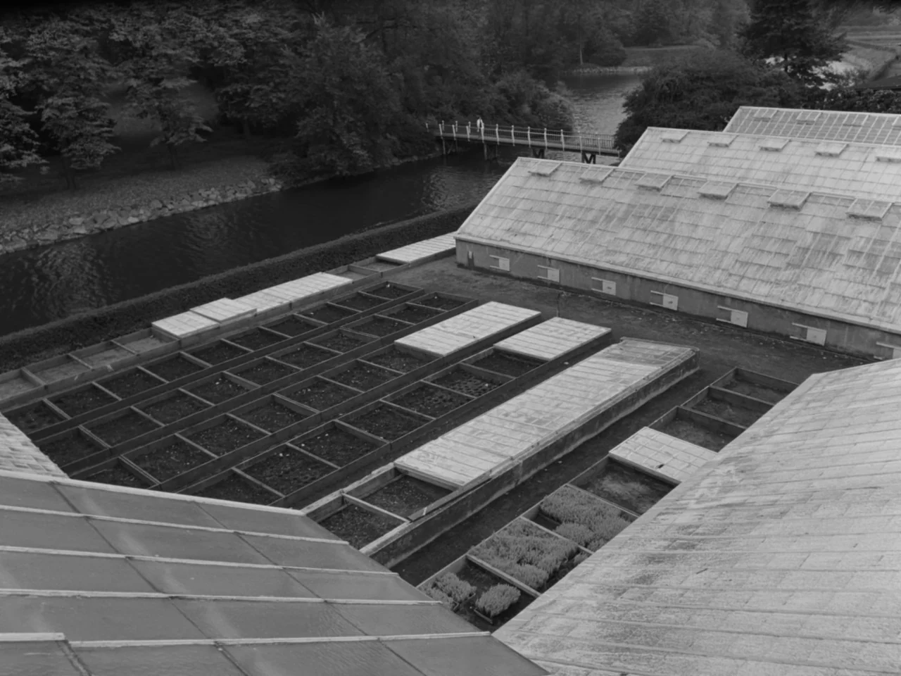 The Baby Carriage (1963) movie still: establishing — A large botanical garden features multiple wooden planting beds and greenhouses near a river. A…
