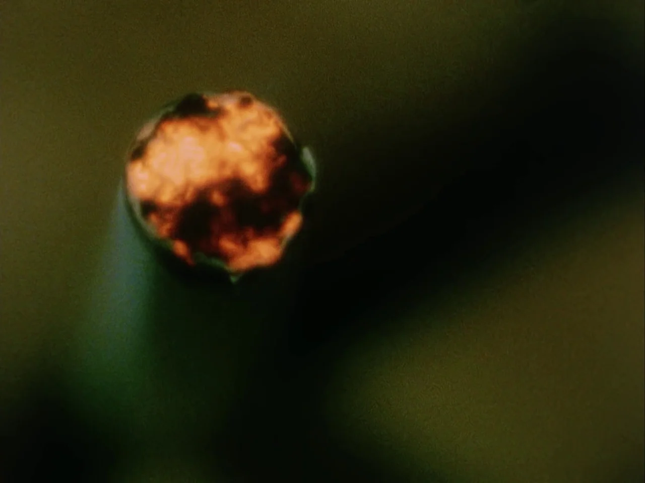 Subconscious Cruelty (2000) movie still: closeup — The burning end of a cigarette glows with a bright orange intensity. It is surrounded by dark,…