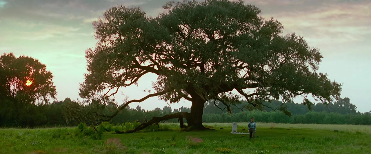 Forrest Gump (1994) movie still: wide — A grassy field with a solitary, wide-canopy oak tree at sunset. A man stands alone before a stone grave…