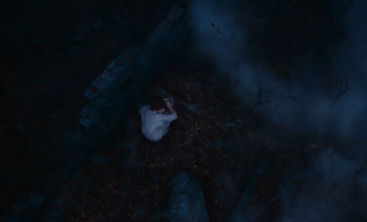 James and the Giant Peach (1996) movie still: wide — A dark, forested area at night is covered in dense fog and fallen leaves. A lone person…