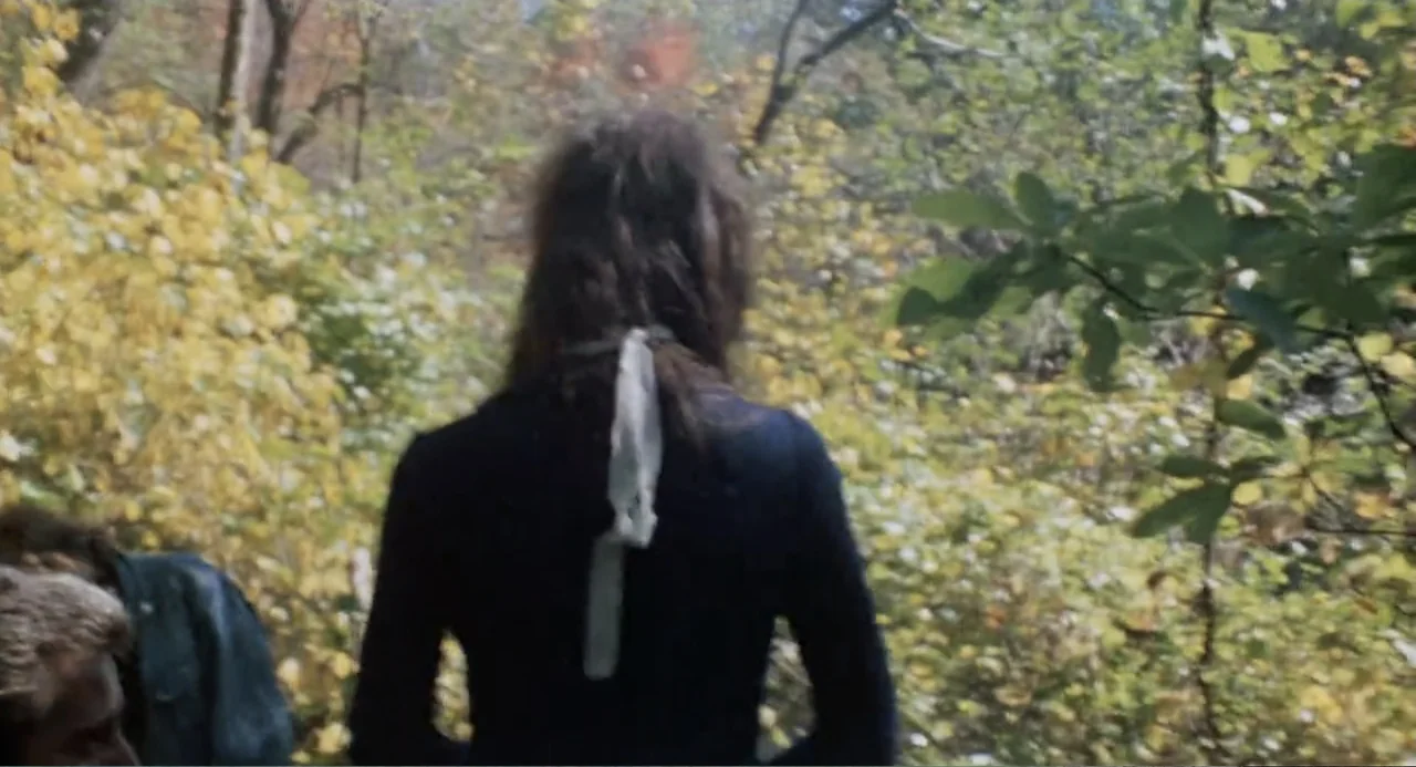 The Last House on the Left (2009) movie still: medium — A dense patch of trees and autumn foliage fills the frame. A woman walks away from the…