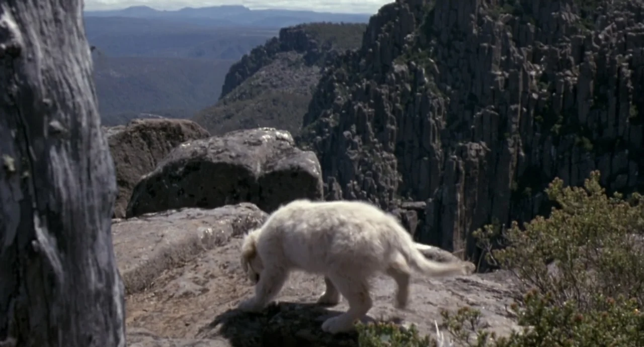 Napoleon (2023) movie still: medium — A high, jagged cliff overlooks a vast, hilly landscape under a bright, clear sky. A small white puppy walks…
