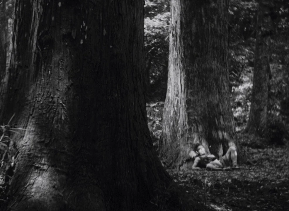 Rashomon (1950) movie still: wide — Massive tree trunks dominate the foreground of a dense, shadowy natural woodland environment. A lone man lies…