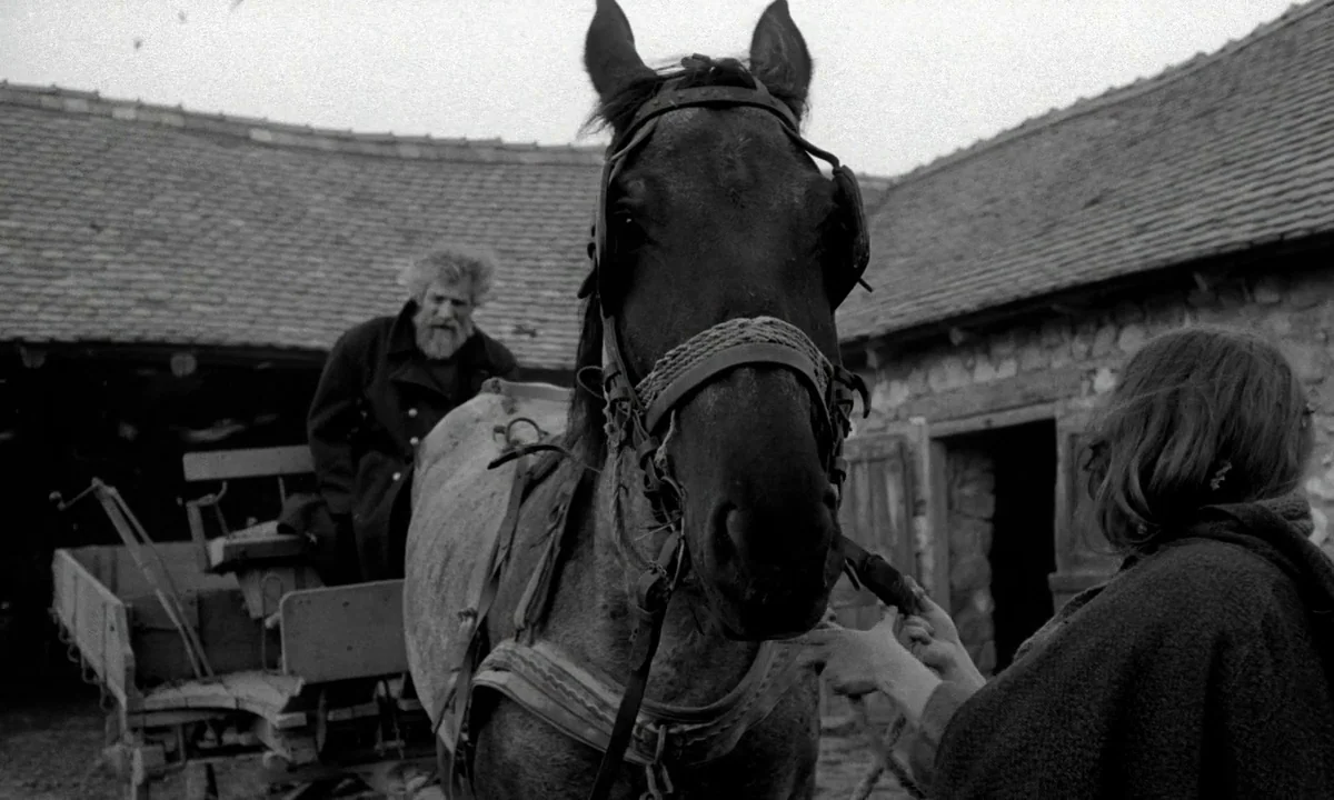 The Turin Horse (2011) movie still: medium — A rustic farmyard features an old wooden cart and stone outbuildings under overcast skies. A woman in a…