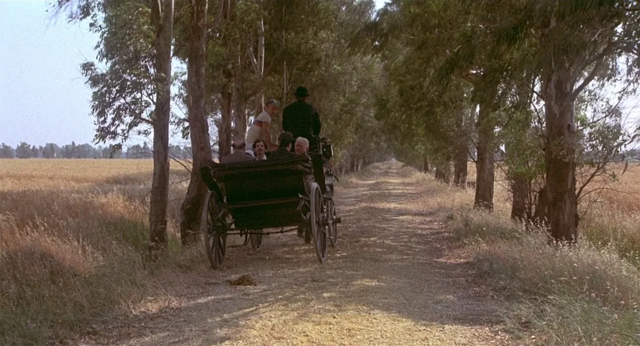 Amarcord (1973) movie still: wide — A horse-drawn carriage travels along a dirt path lined with tall eucalyptus trees. Adjacent fields of golden…