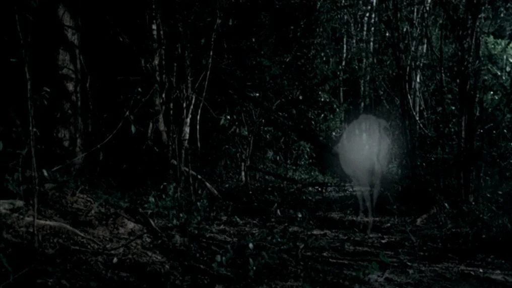 Tropical Malady (2004) movie still: wide — A dark, dense thicket of trees and undergrowth at night. A faint, glowing white silhouette emerges from…