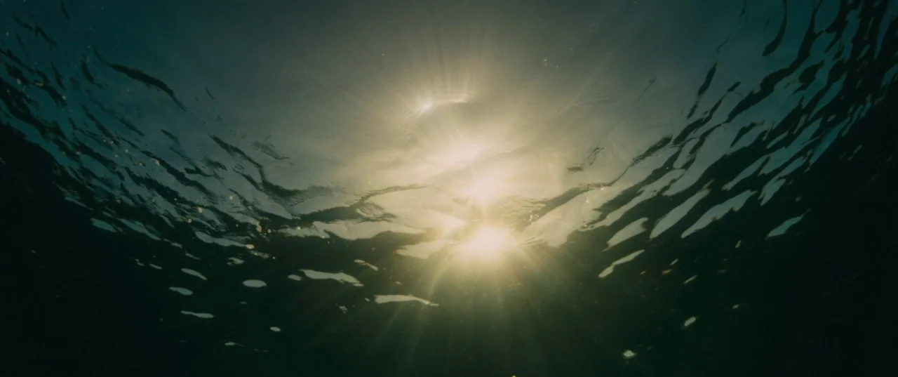 Evolution (2015) movie still: establishing — The sun is seen from beneath the rippling surface of dark ocean water. Sunlight flares and pierces…