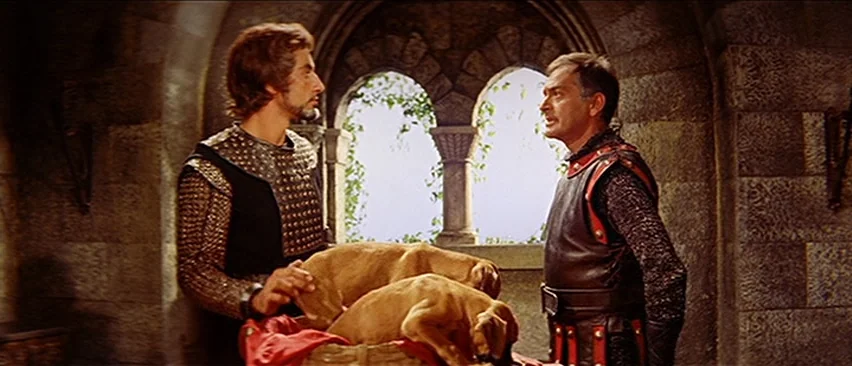 Erik The Conqueror (1961) movie still: medium — A stone chamber features thick masonry walls and an arched window looking out to vines. Two men in…