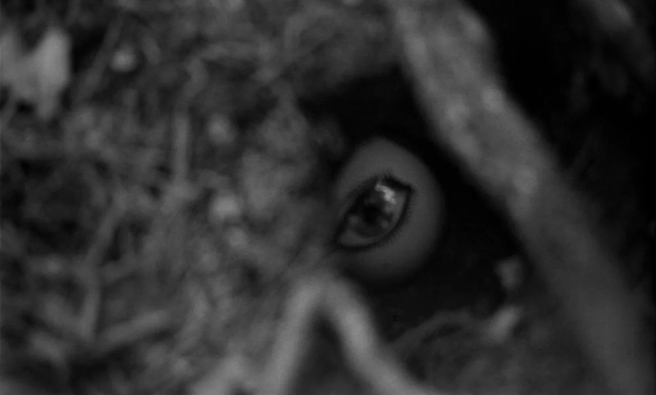 Stereo (1969) movie still: closeup — A dark, textured environment of branches and undergrowth obscures the frame. A single human eye peers out from…