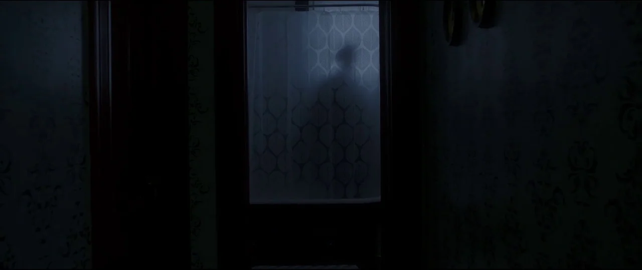 Insidious: Chapter 2 (2013) movie still: medium — A dimly lit bathroom features dark, patterned wallpaper on the flanking walls. A dark figure…