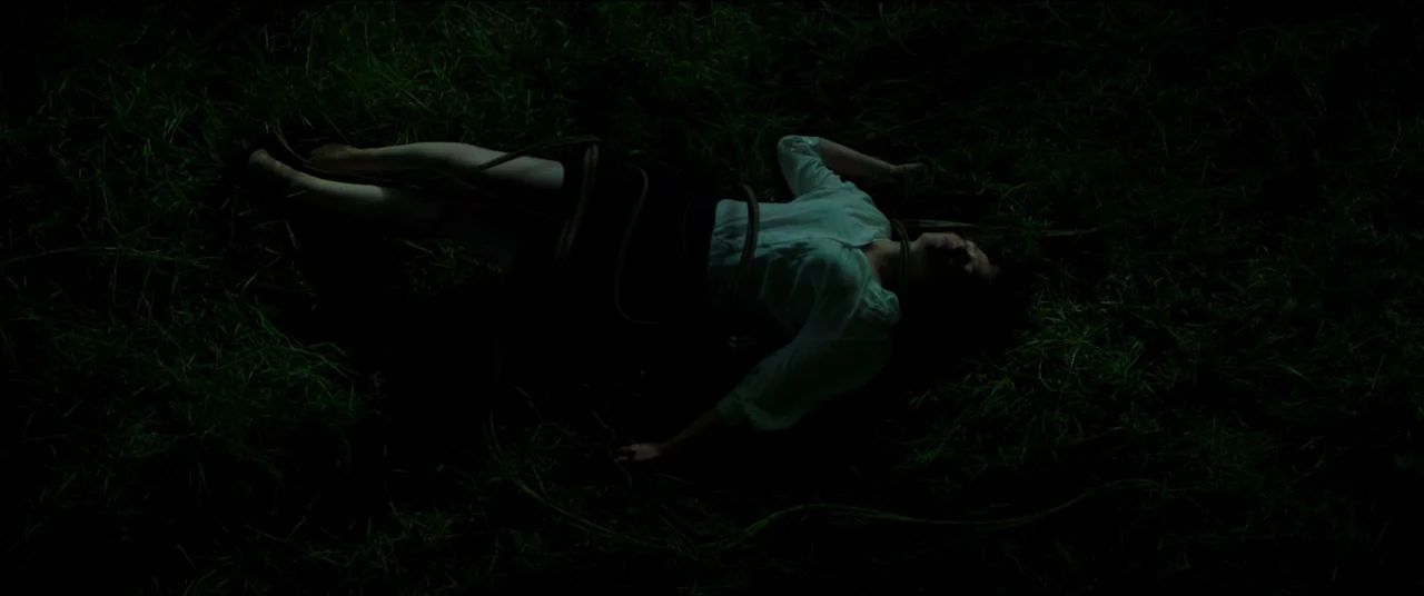 The Feast (2021) movie still: fullbody — A dark, overgrown grassy field is illuminated by weak, cool light at night. A young woman lies bound with…