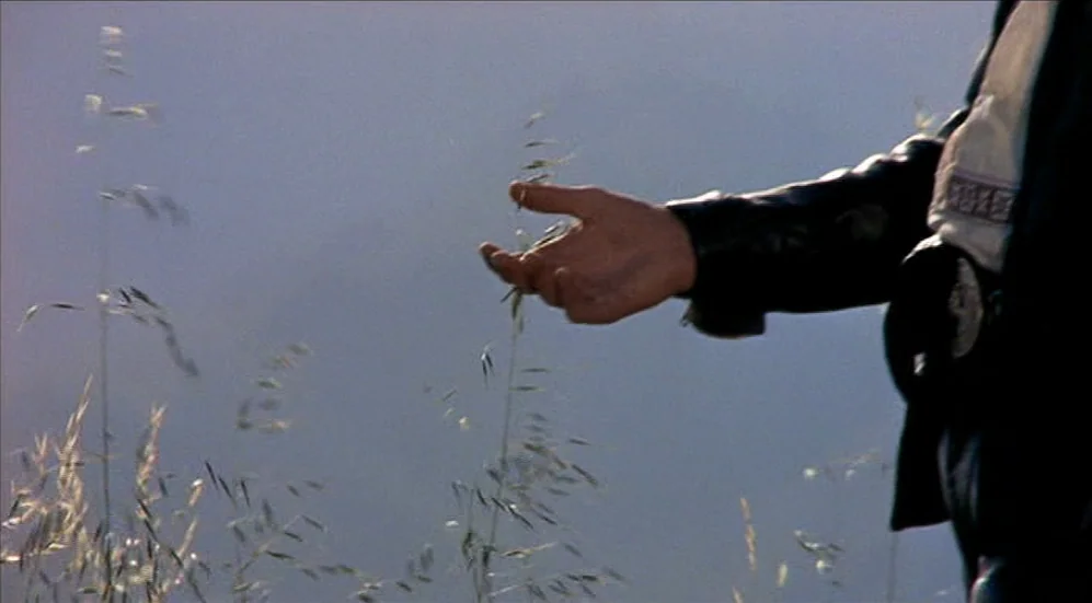 Easy Rider (1969) movie still: closeup — An outdoor field with blurred dry grasses against a muted, overcast sky. A person's hand reaches into the…