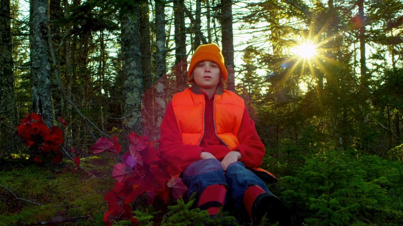 The ABCs of Death (2012) movie still: medium — A dense coniferous woodland with mossy ground and deep red artificial plants in foreground. A young…