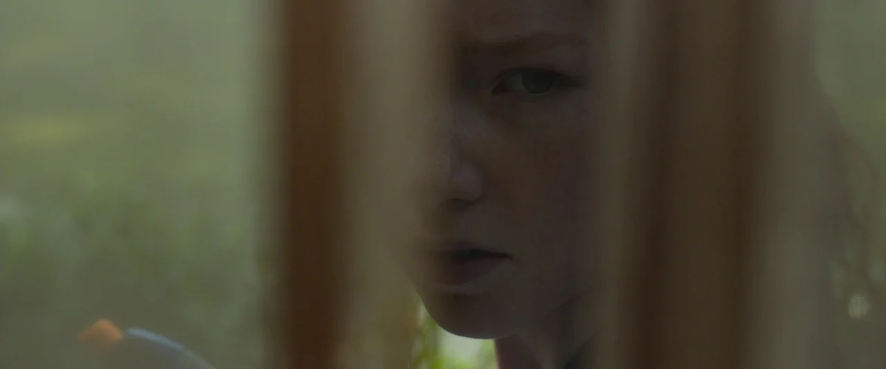 Oculus (2013) movie still: closeup — A person looks through a sheer, draped curtain in an outdoor setting. The light diffuses through the fabric,…