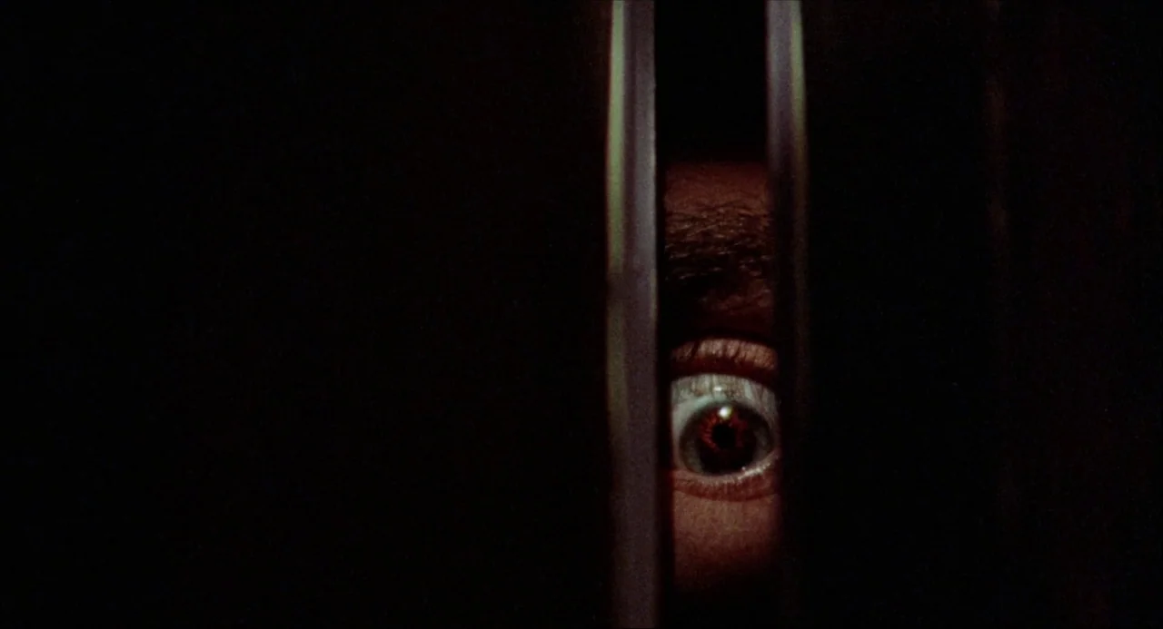 Black Christmas (1974) movie still: closeup — A dark, cramped space frames a human eye looking through a vertical slit. The subject observes the…