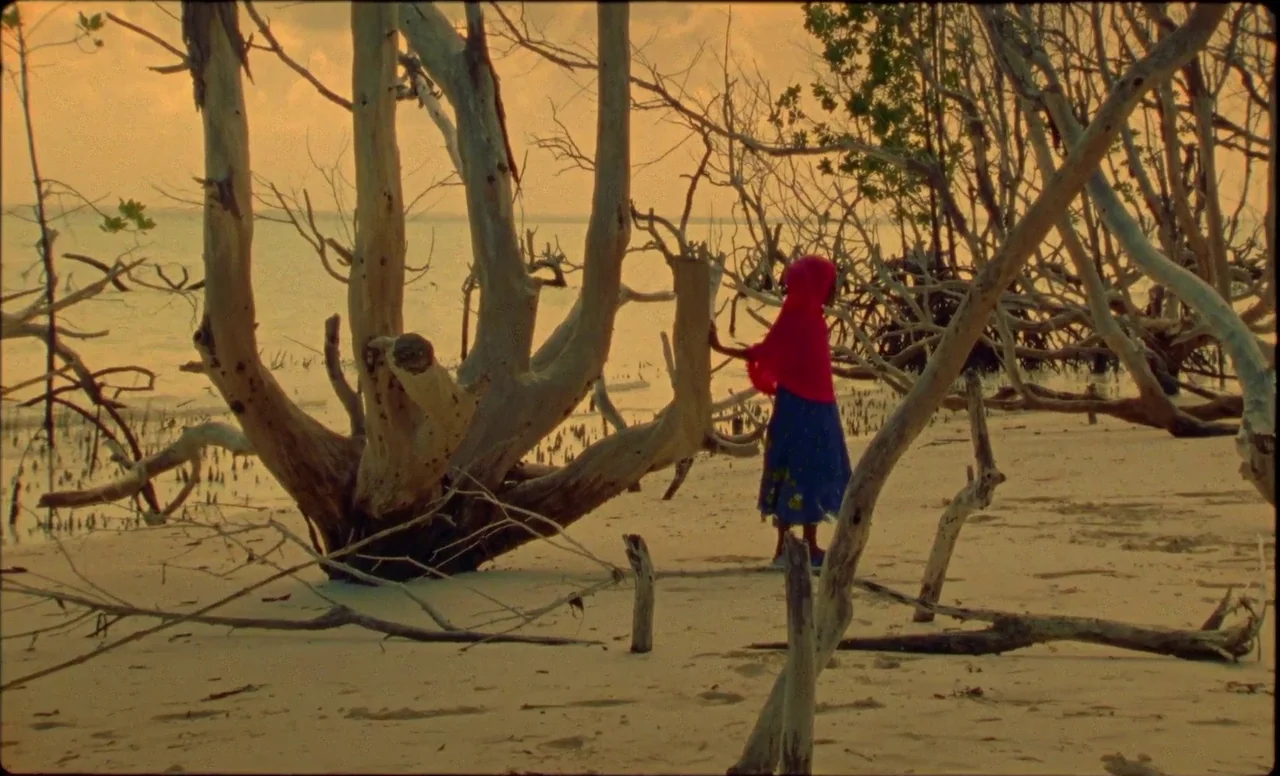 Samsara (2023) movie still: wide — A sandy shore is filled with weathered, leafless driftwood trees under a sunset sky. A child wearing a red head…