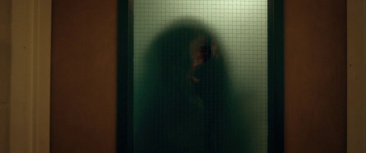 The Void (2016) movie still: medium — A dark wooden door with a vertical frosted wire-mesh glass panel is visible. A shadowed figure stands directly…