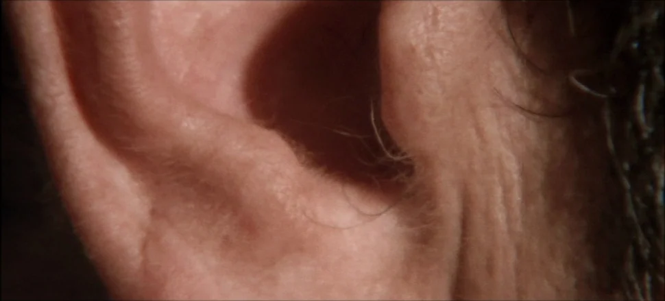 Solaris (1972) movie still: closeup — An extreme close-up focuses on the curves and folds of a human ear. Texture details include skin pores and…