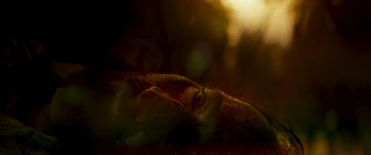 Mandy (2018) movie still: closeup — A man's face lies in the dirt and shadows of a natural outdoor area. He is partially obscured by darkness while…