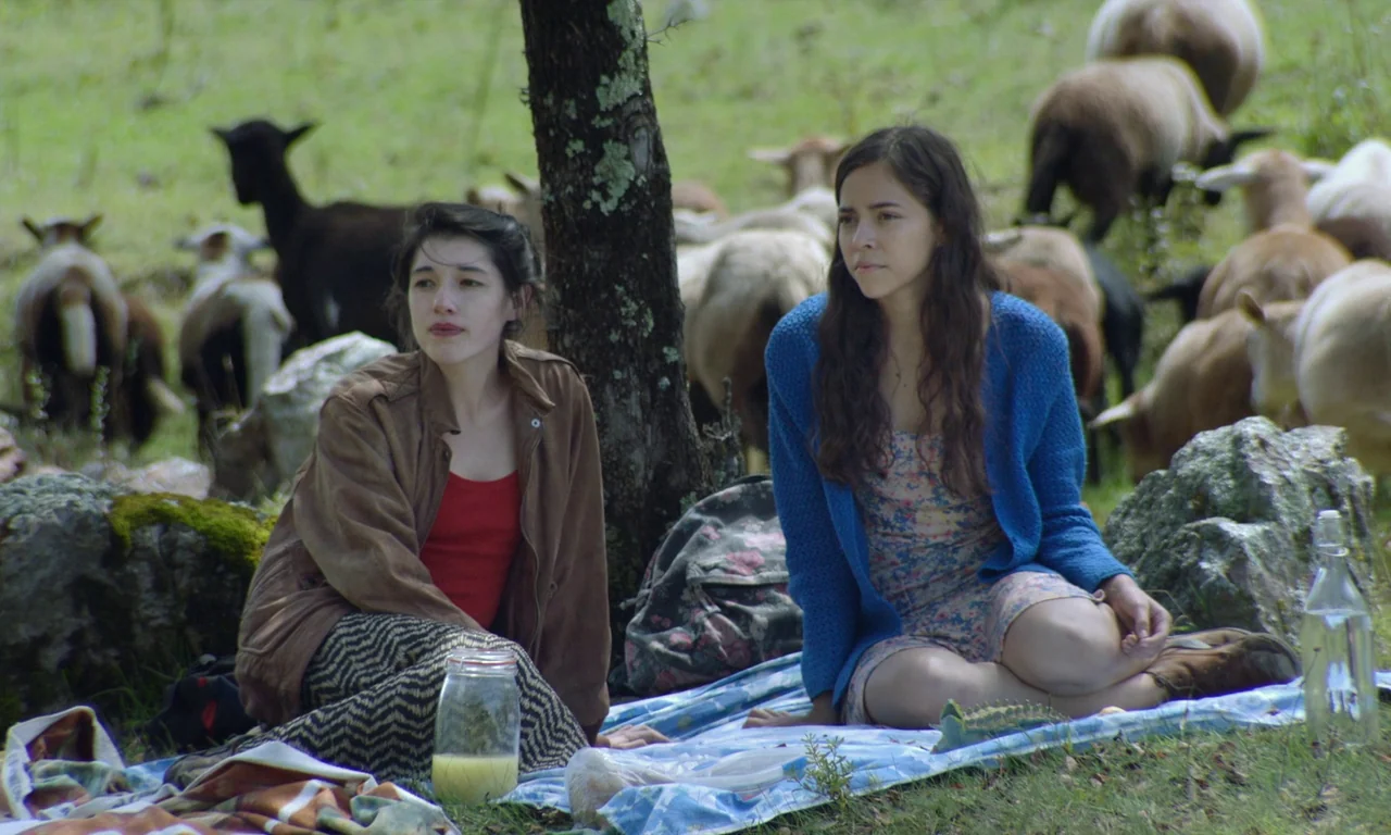 The Untamed (2016) movie still: medium — Two women sit on a picnic blanket in a grassy field surrounded by sheep. They sit beneath a tree while…