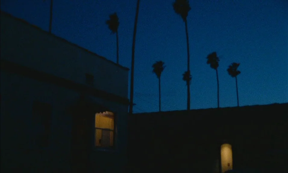 Documenteur (1981) movie still: establishing — A residential structure stands against a dark blue evening sky with several palm trees. Two windows…