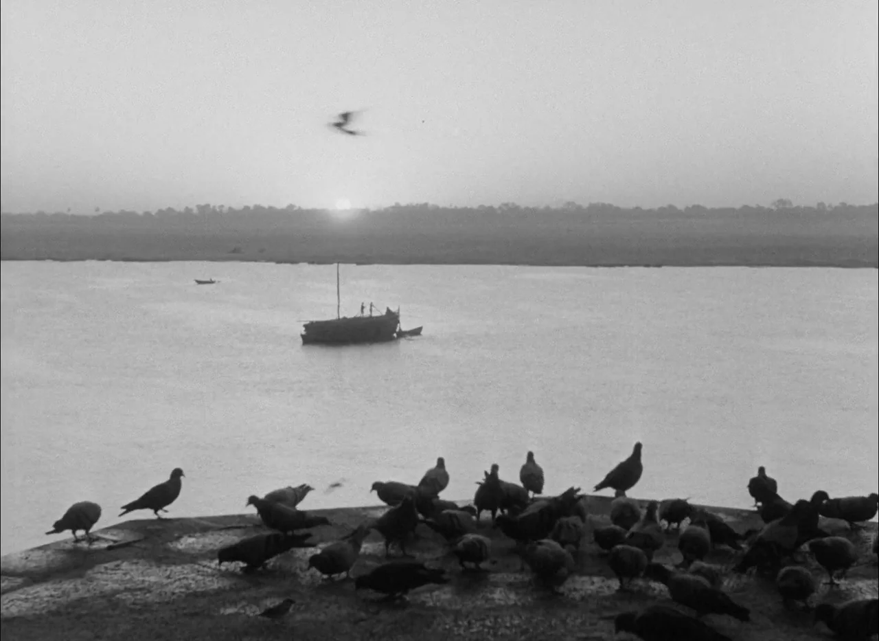 Aparajito (1956) movie still: wide — A wide view of a riverbank at dawn with numerous pigeons gathered on stone. A small wooden boat floats in the…