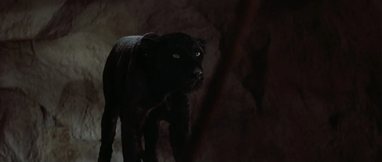 Sahara (1995) movie still: medium — A dark cave interior with uneven stone walls creates a narrow and dim space. A black panther stands in the…