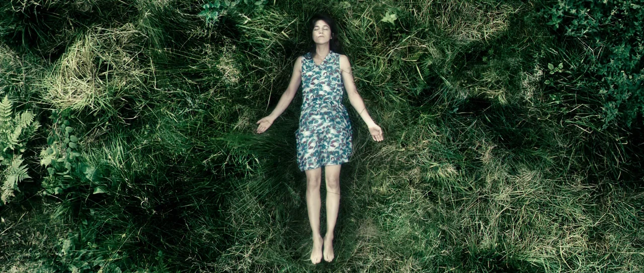 Antichrist (2009) movie still: fullbody — A dense, unkempt patch of tall green grass and wild ferns covers the ground. A young woman in a floral…
