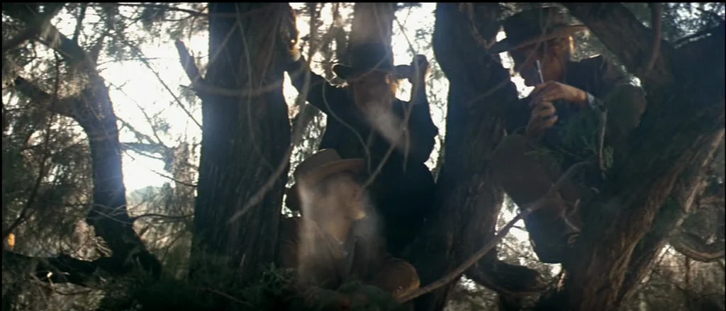 Butch Cassidy and the Sundance Kid (1969) movie still: medium — Three men are perched on the thick, gnarled branches of a large tree. The figures…