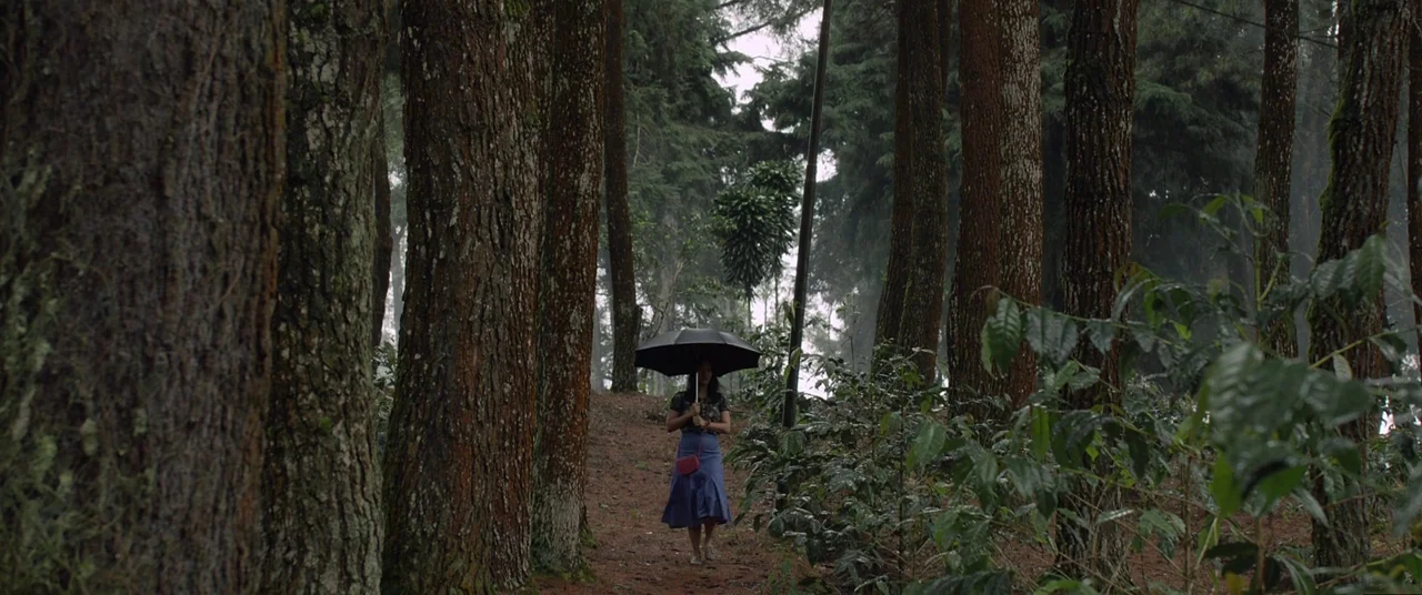 Satan’s Slaves (2017) movie still: wide — A dense pine forest with tall, textured tree trunks lining a narrow dirt path. A woman walks alone along…