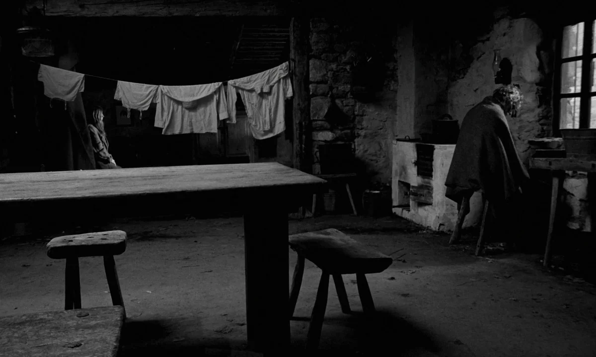 The Turin Horse (2011) movie still: wide — A dark, rustic farmhouse interior features stone walls, a wooden table, and laundry hanging. Two people…