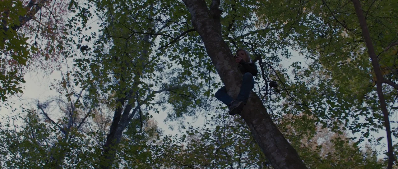 The East (2013) movie still: wide — A dense woodland environment with mature trees seen from below. A young woman sits on a high tree branch while…