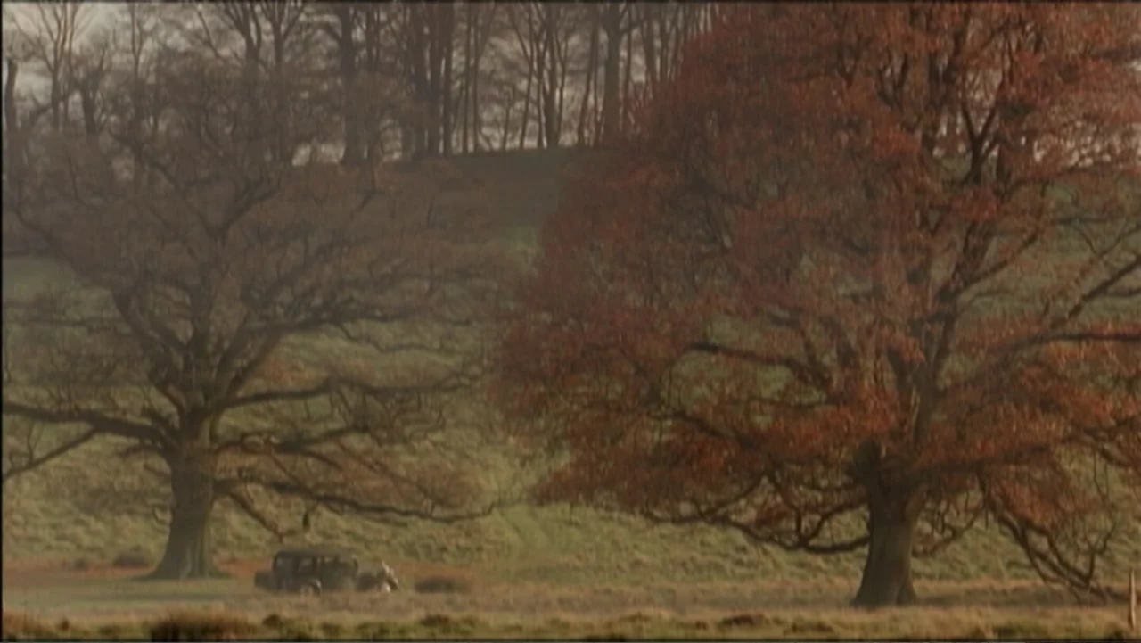 The Gathering Storm (2002) movie still: wide — A rolling meadow features two large deciduous trees with brown and autumn leaves. A small…