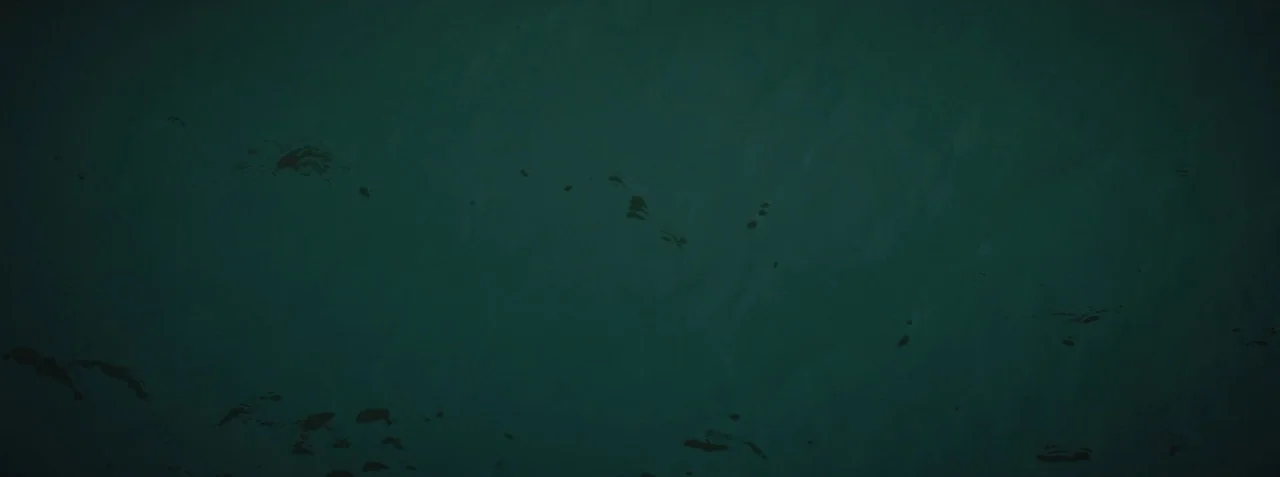 Dead Pigs (2018) movie still: establishing — A vast expanse of deep green water fills the frame with gentle surface ripples. Small patches of dark…