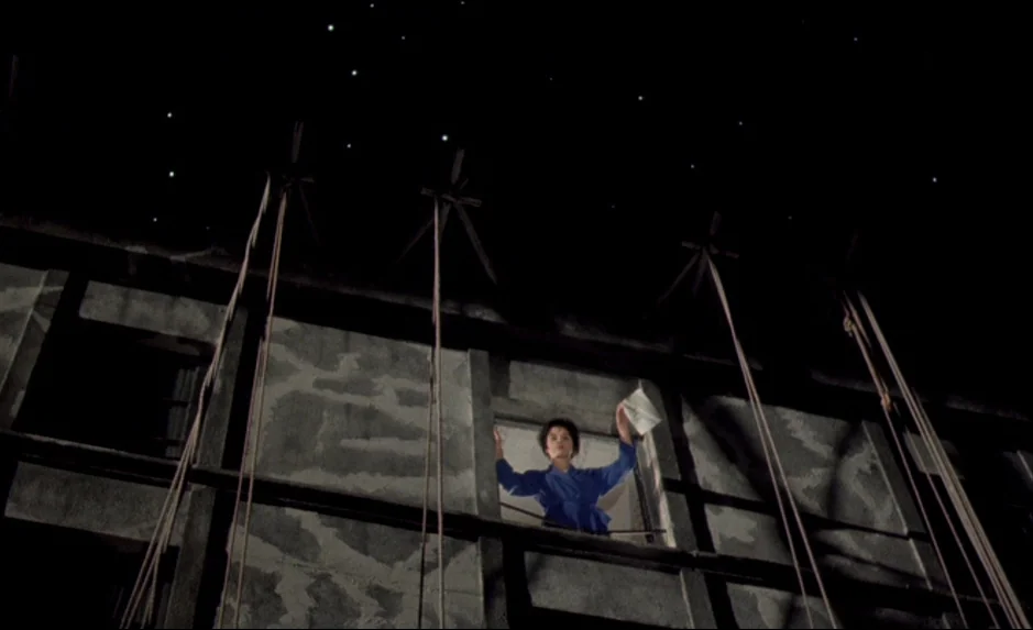 Mauvais Sang (Bad Blood) (The Night Is Young) (1986) movie still: wide — A multistory building exterior at night features scaffolding poles…
