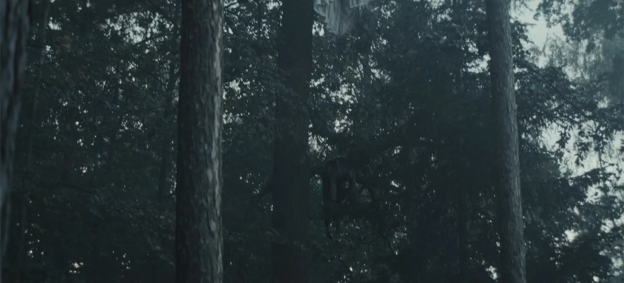 The Tank (2025) movie still: wide — Dense woodland scene features tall, dark tree trunks and overlapping branches with thick foliage. A white cloth…