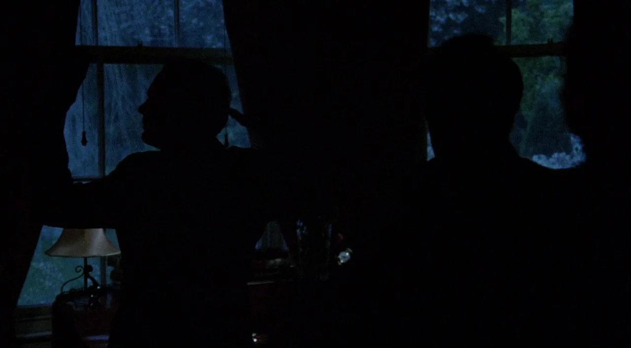 The Iguana with the Tongue of Fire (1971) movie still: medium — A dark interior room features a large window with heavy curtains at night. Two men…
