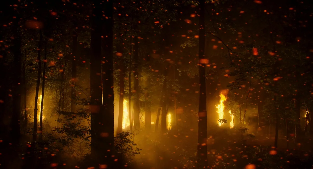 Civil War (2024) movie still: wide — A dense forest at night is engulfed by multiple pockets of vertical flame. Glowing orange embers float through…