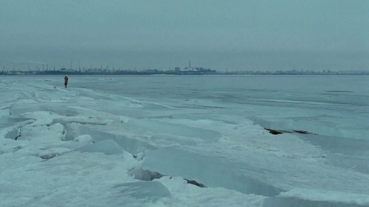 Cold Souls (2009) movie still: wide — A vast, frozen coastal shelf covered in large cracked ice chunks under an overcast sky. A lone figure stands…