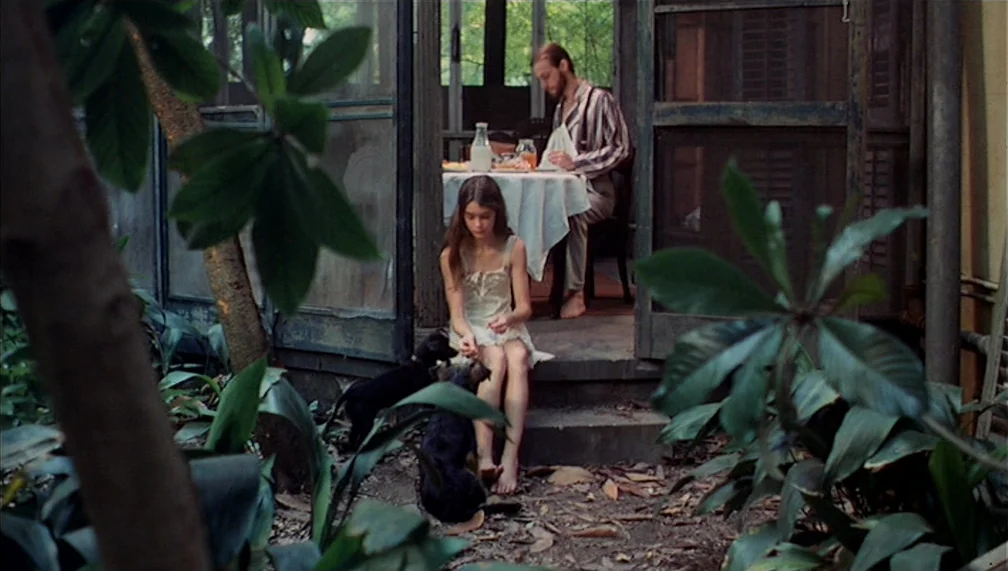 Pretty Baby (1978) movie still: fullbody — A screened porch with a man at a table and a young woman outside. She sits on the wooden steps feeding…