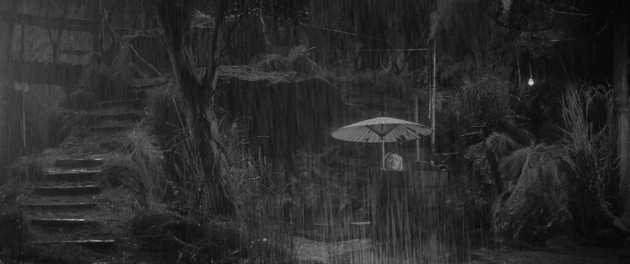 Carmen From Kawachi (1966) movie still: wide — A rural landscape at night features a dark rocky area with wet vegetation. A person sits inside a…