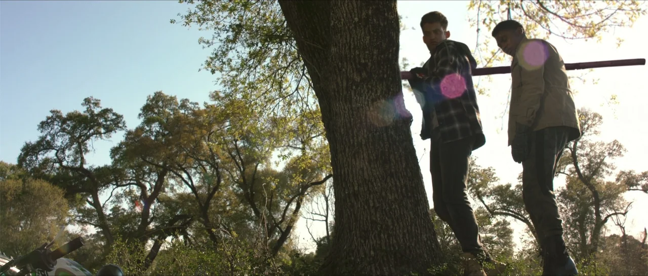 Jeepers Creepers 3 (2017) movie still: fullbody — A sunlit woodland area with large oak trees and scattered grass on the ground. Two young men stand…
