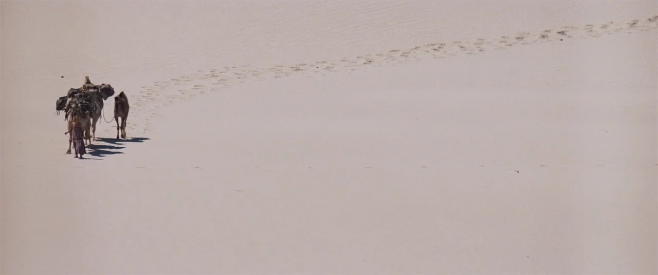 Tracks (2013) movie still: wide — A vast, empty landscape of light beige sand dunes under a clear sky. A woman walks alongside two camels carrying…