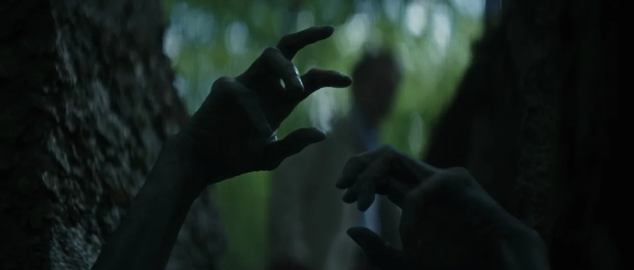 The Sea of Trees (2015) movie still: closeup — Dense tree trunks frame a narrow gap showing blurred foliage in the background. Two disembodied hands…