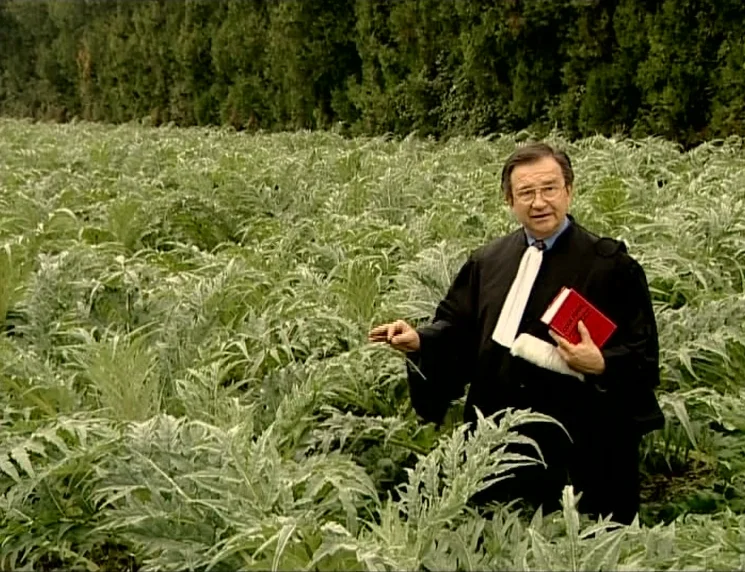 The Gleaners & I (2000) movie still: medium — A man wearing a formal black judicial robe stands in a large artichoke field. He points his right hand…