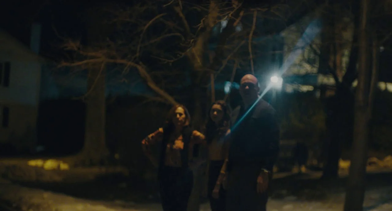 Private Life (2018) movie still: medium — Three people stand outdoors on a dark residential street near a bare tree. A bright streetlamp flares in…