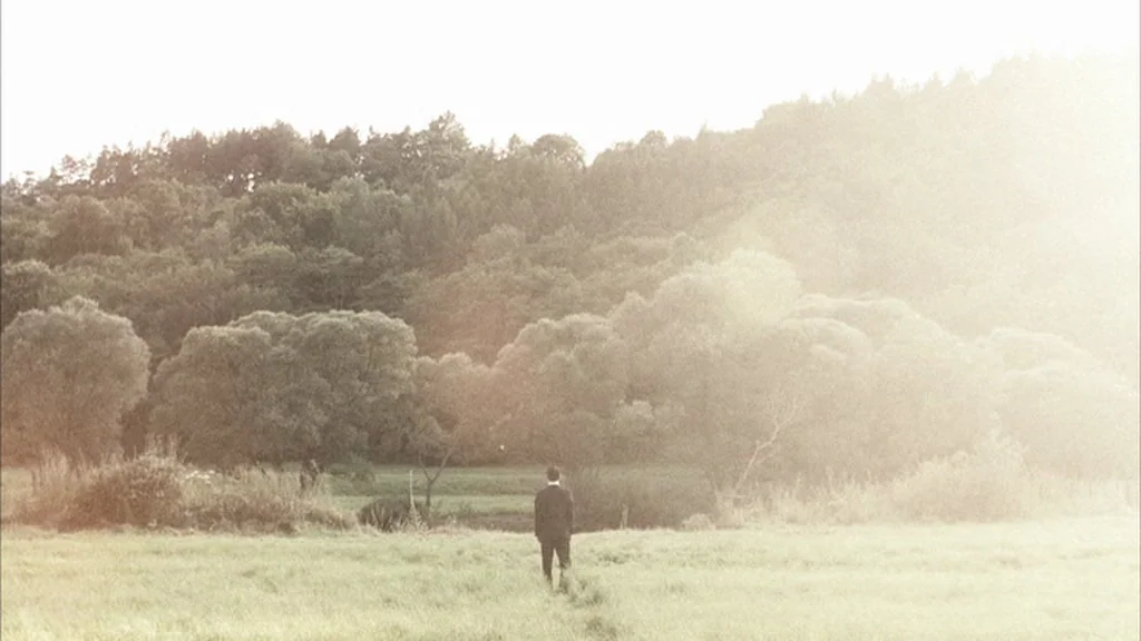 Everything Is Illuminated (2005) movie still: wide — A man stands alone in a wide grassy meadow bordered by a dense forest. Intense lens flare from…