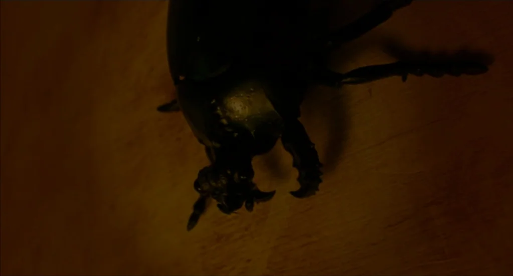Bubba Ho-Tep (2002) movie still: closeup — A close-up view of a dark, glossy beetle resting on a wood grain surface. The insect is positioned…