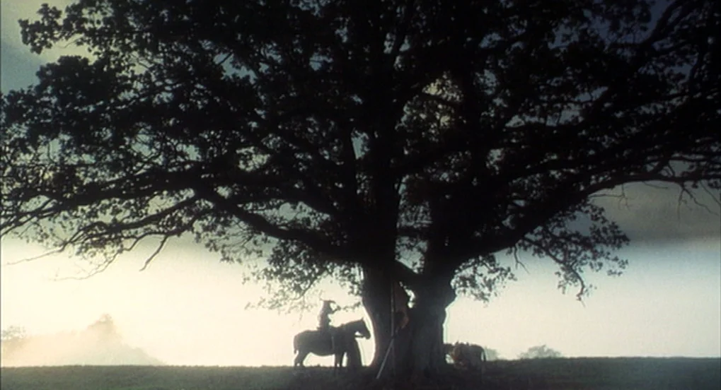 Jabberwocky (1977) movie still: wide — A massive, sprawling oak tree dominates a foggy, open expanse during early morning light. A solitary horse…