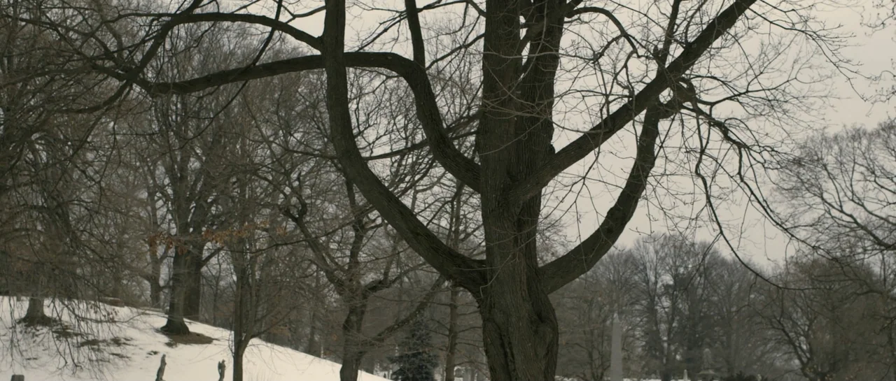 NY84 (2016) movie still: wide — A winter cemetery features large bare trees and patches of snow on the ground. The leafless branches extend across a…